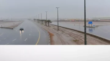 تحذير لـ 15 مدينة.. توقيت وصول العاصفة الرعدية والأمطار الغزيرة بالشرقية